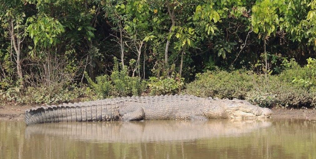 Lakhari Valley Wildlife Sanctuary